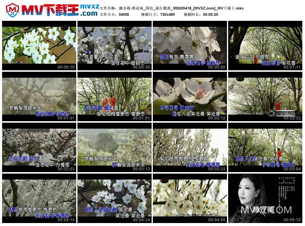 湘齐萌-梨花雨_国语_流行歌曲_MB205418